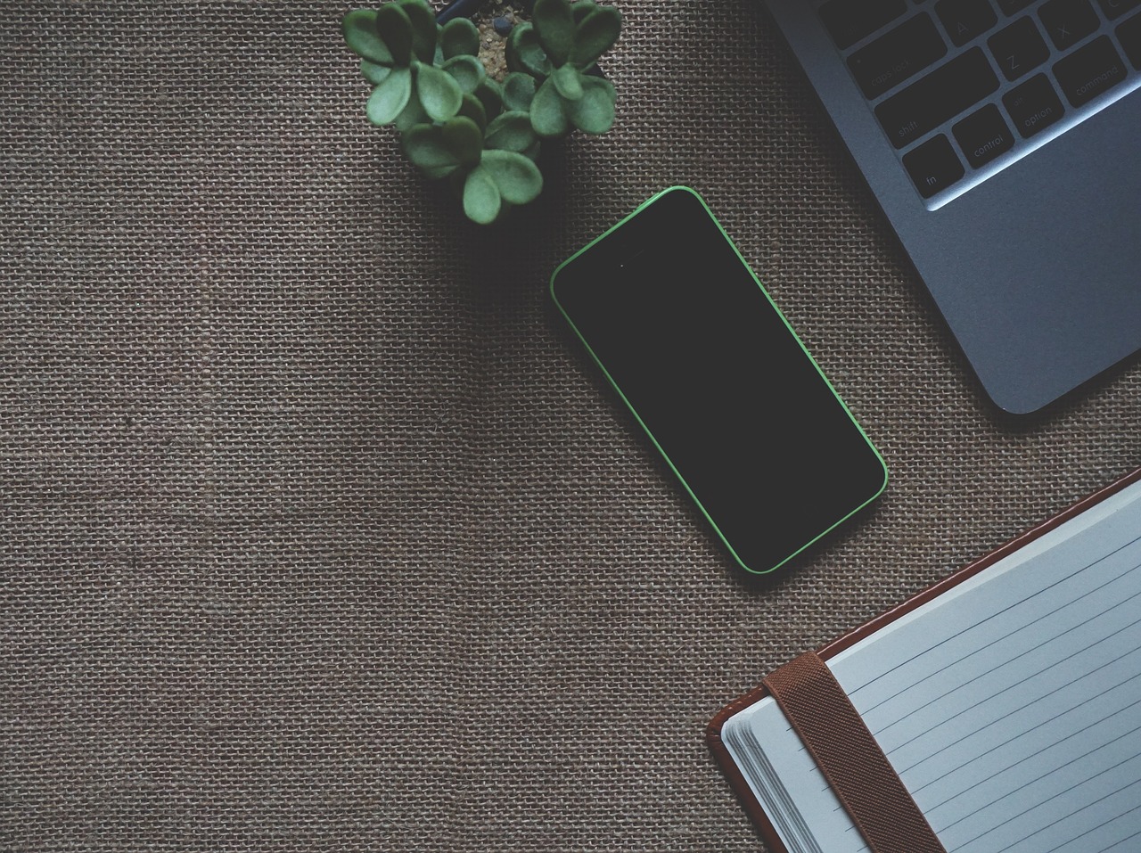 理工亭生活网:1分钟资讯速览带你零基础看懂宠物科技核心概念与应用边界,附风险参数与实操指南