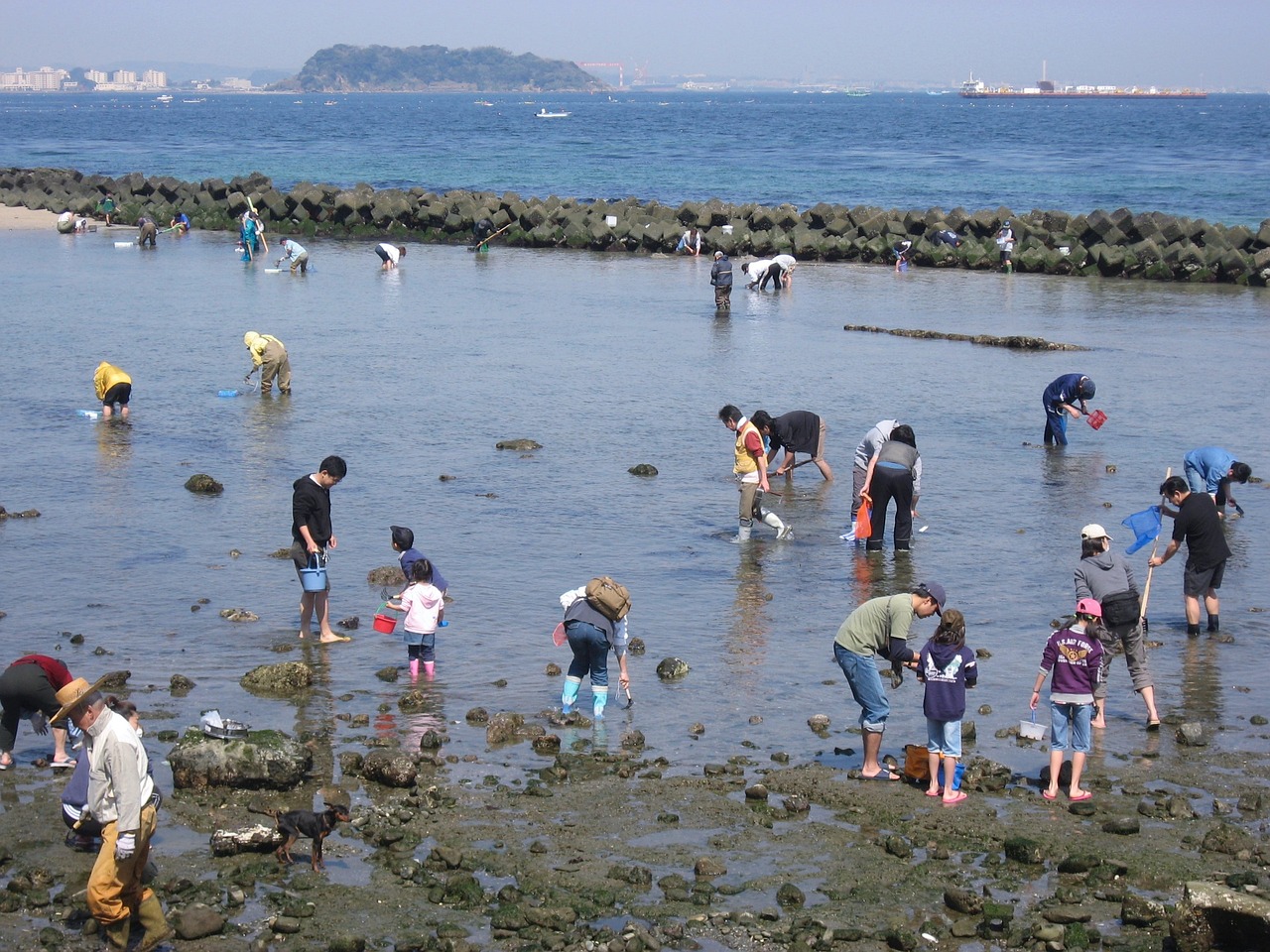 日本超20万人要求停止核污水排海