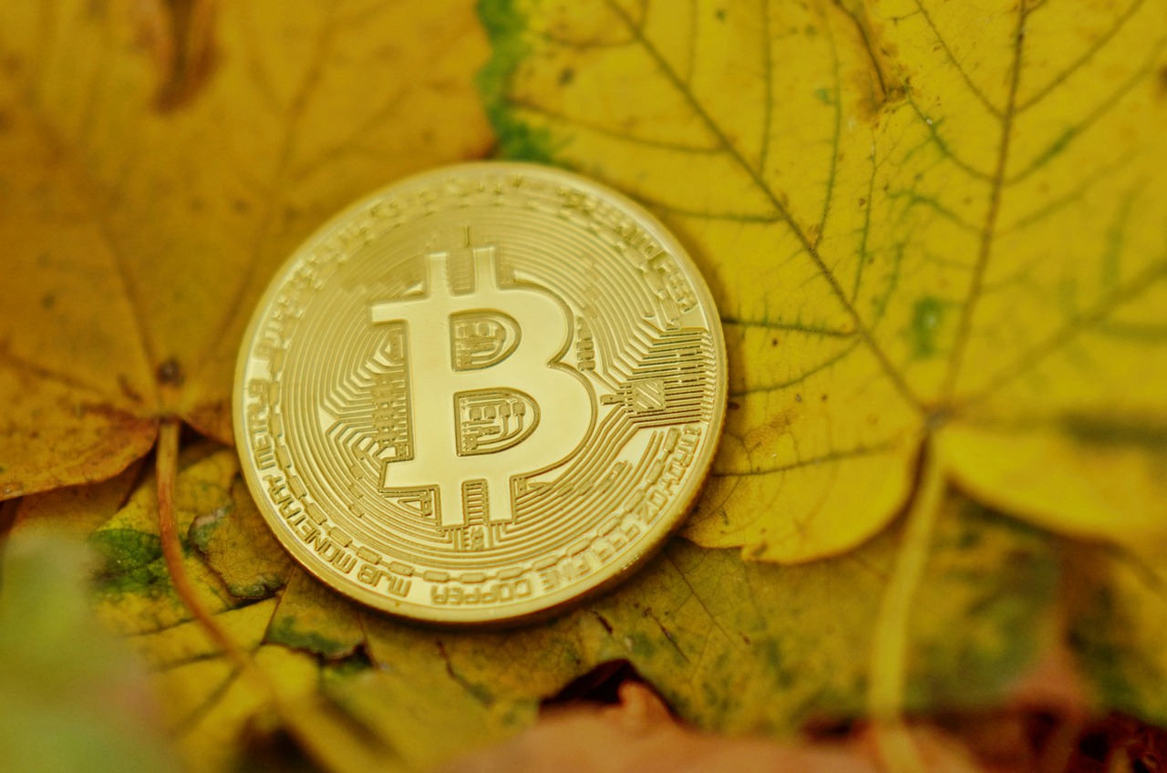 探秘中国黄金网，如何在数字时代引领贵金属投资潮流？