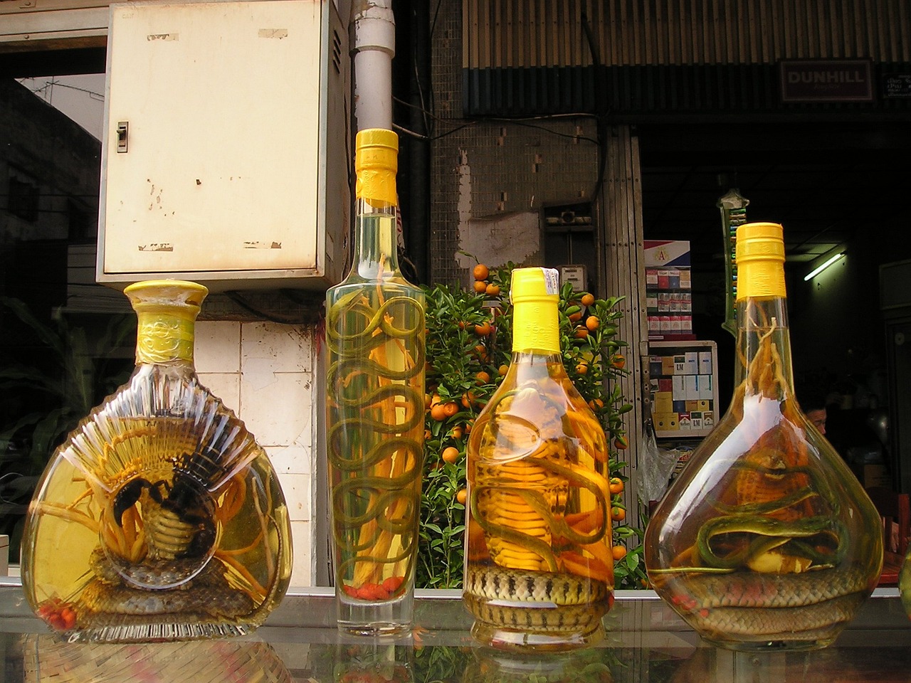 世界顶级红酒品牌的魅力与秘密