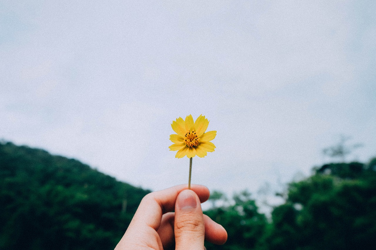 生活中的兴趣盎然，如何让每一天都充满乐趣
