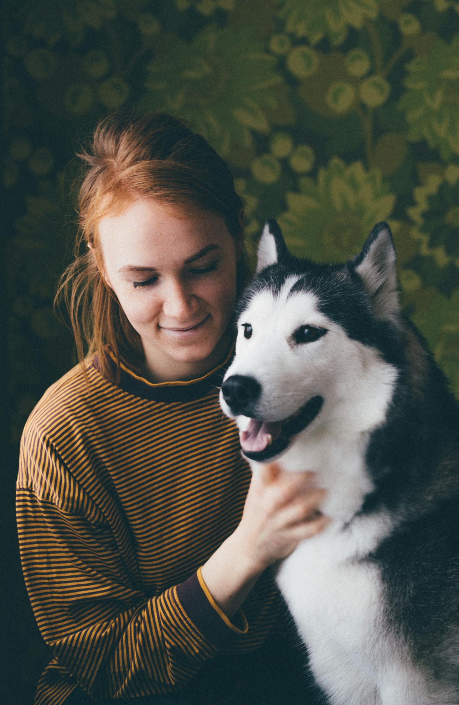深入解析画虎不成反类犬背后的智慧与启示