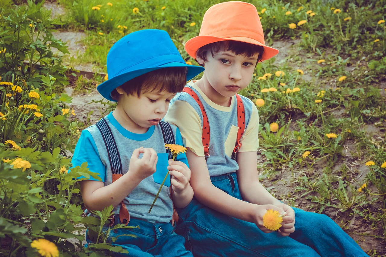 幼儿生活百科小故事，探索世界的奇妙之旅