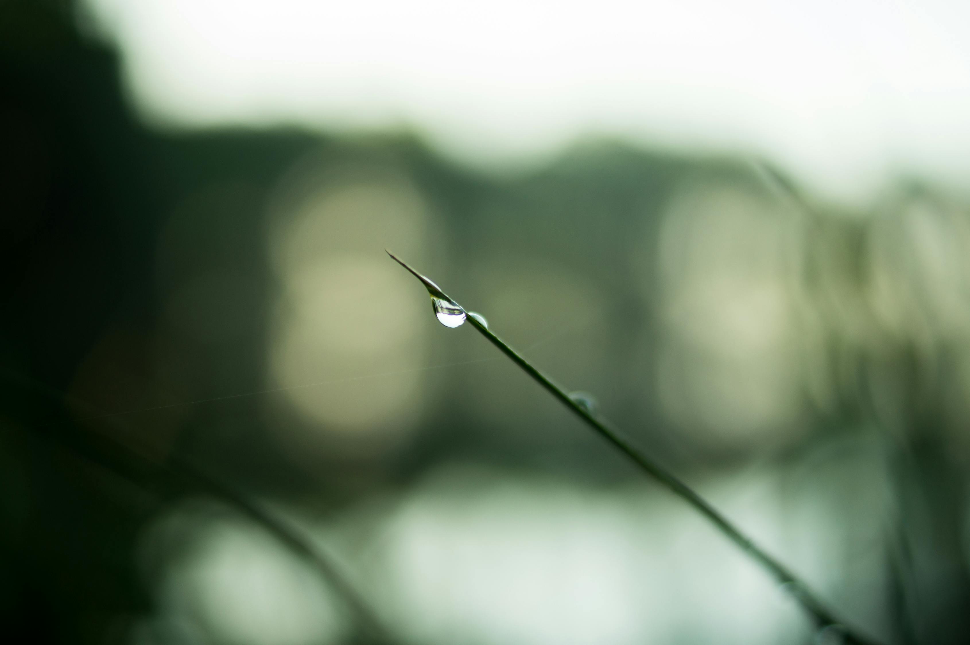 谷雨，春末夏初的节气，农耕文化的精髓