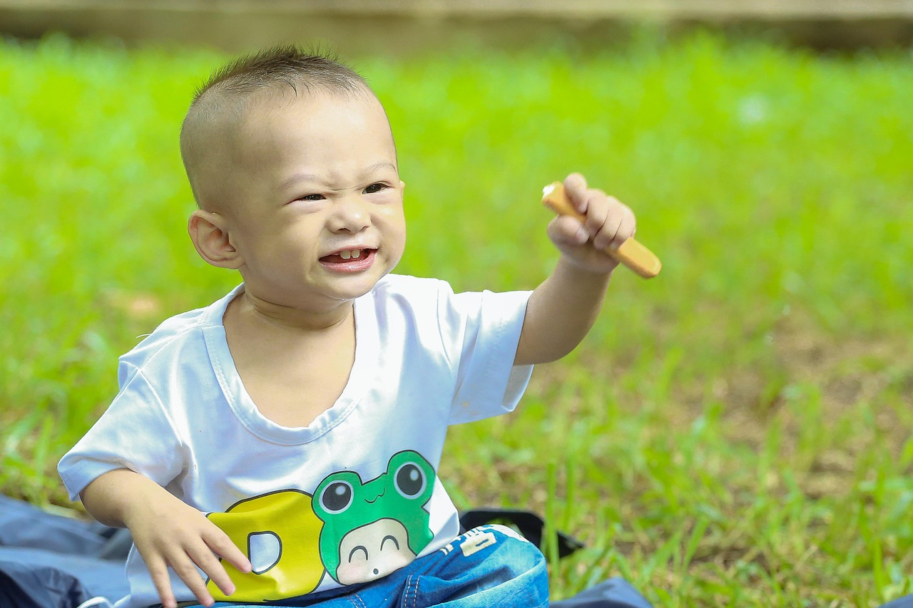 启智未来，4岁孩子的早教内容与方法
