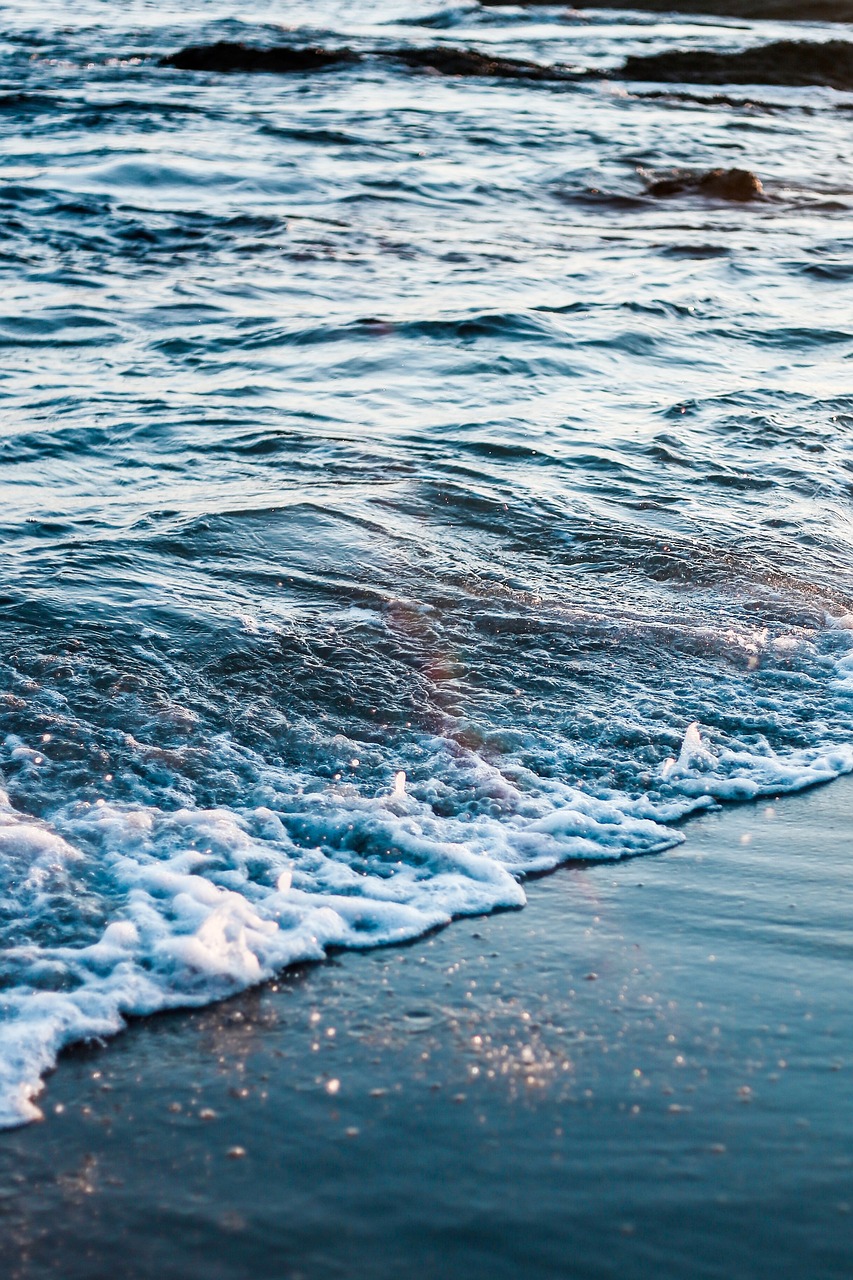 探索知识的海洋，十万个小问题一问一答二年级